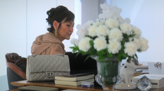 Nelma Kodama: The Queen of Dirty Money Netflix Review